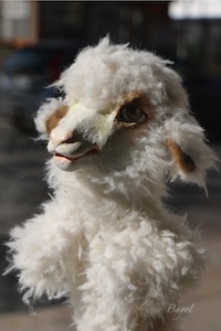 Detailansicht Schaf-Handpuppe weiß - Exklusives Geschenk